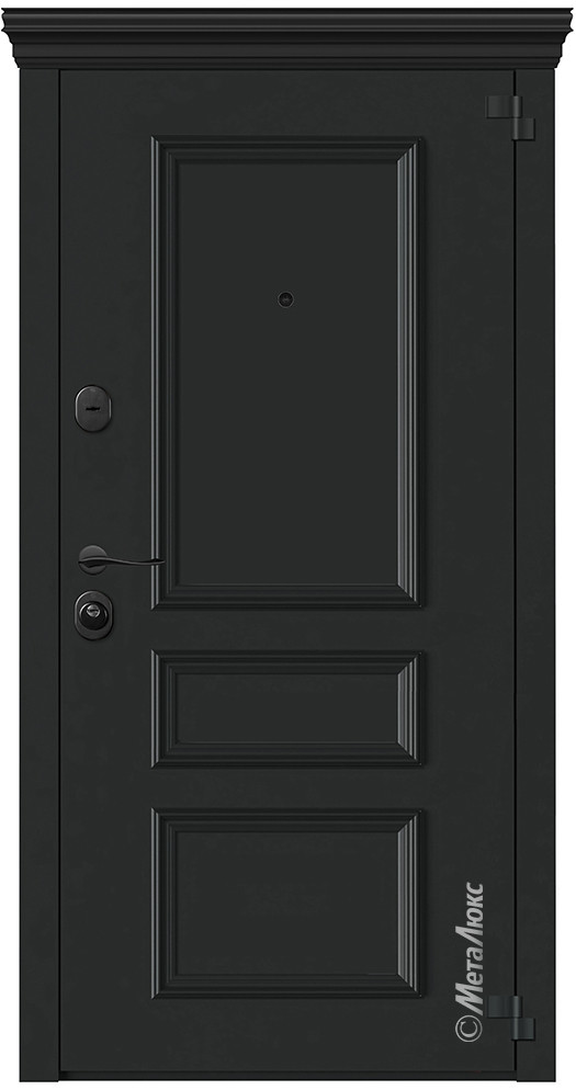 Дверь входная металлическая М6019