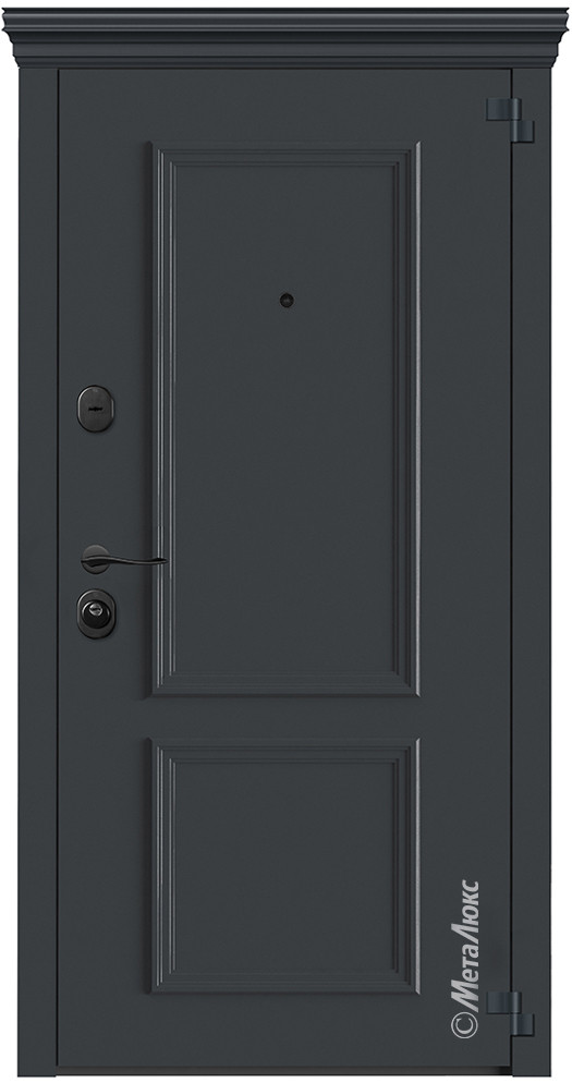 Дверь входная металлическая М6025