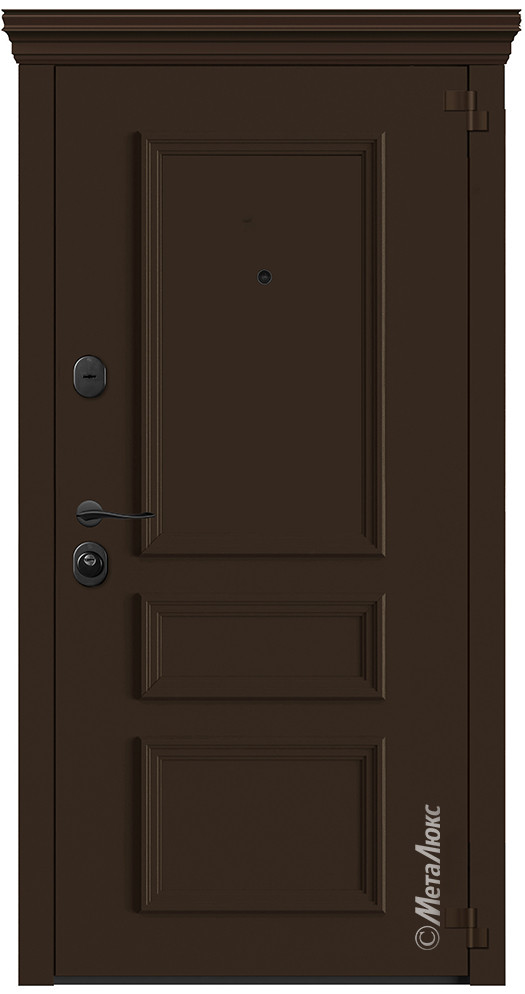 Дверь входная металлическая М6026