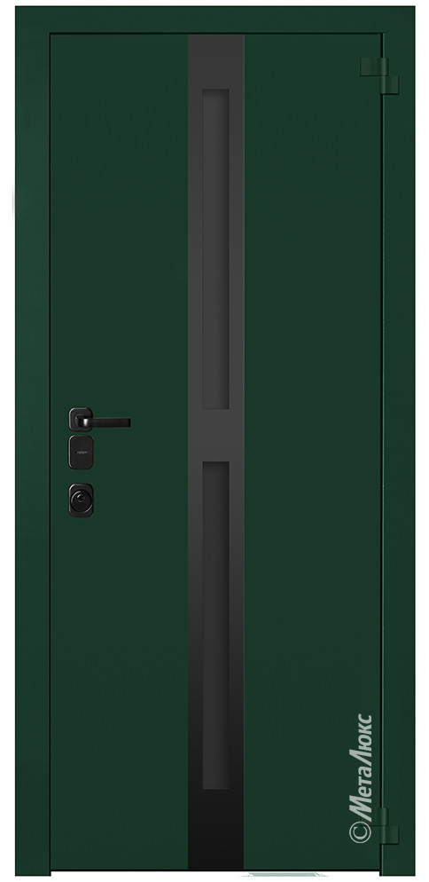 Дверь входная металлическая СМ6012