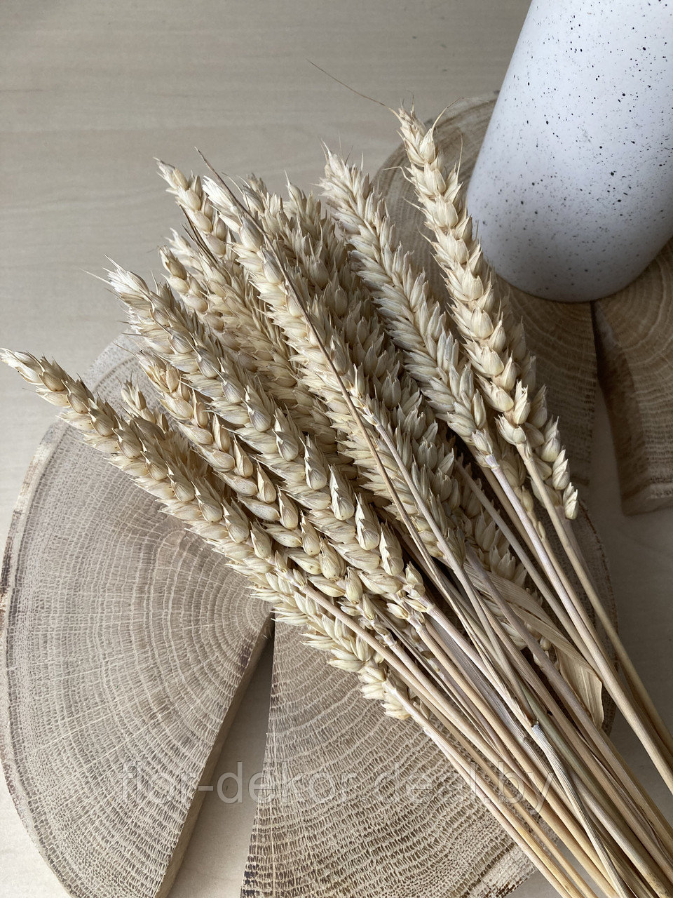 Колосья пшеницы (тритикум) , осветленные, 40шт. - фото 1 - id-p159634321