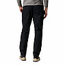 Брюки мужские COLUMBIA Flex ROC™ Lined Pant чёрный, фото 2