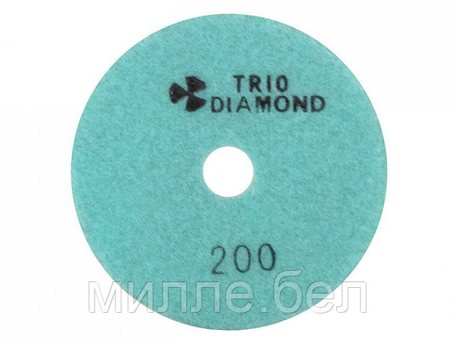 Алмазный гибкий шлифкруг "Черепашка" 100 № 200 (мокрая шл.) (Trio-Diamond) - фото 1 - id-p194558511