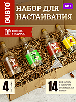 Набор для приготовления настоек из 4 бутылок GUSTO №2