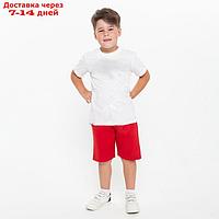 Комплект для мальчика Lacoste (футболка, шорты), цвет белый/красный, рост 122-128 см