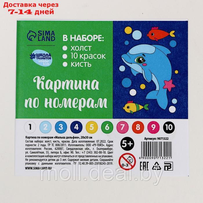Картина по номерам (набор)"Малыш дельфин" 20х30 см - фото 6 - id-p194648835