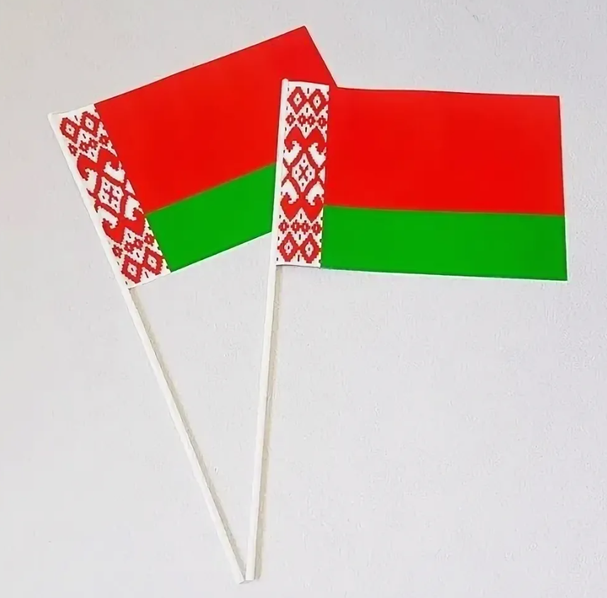 Флажок Республики Беларусь 100*200мм тканевый на палочке