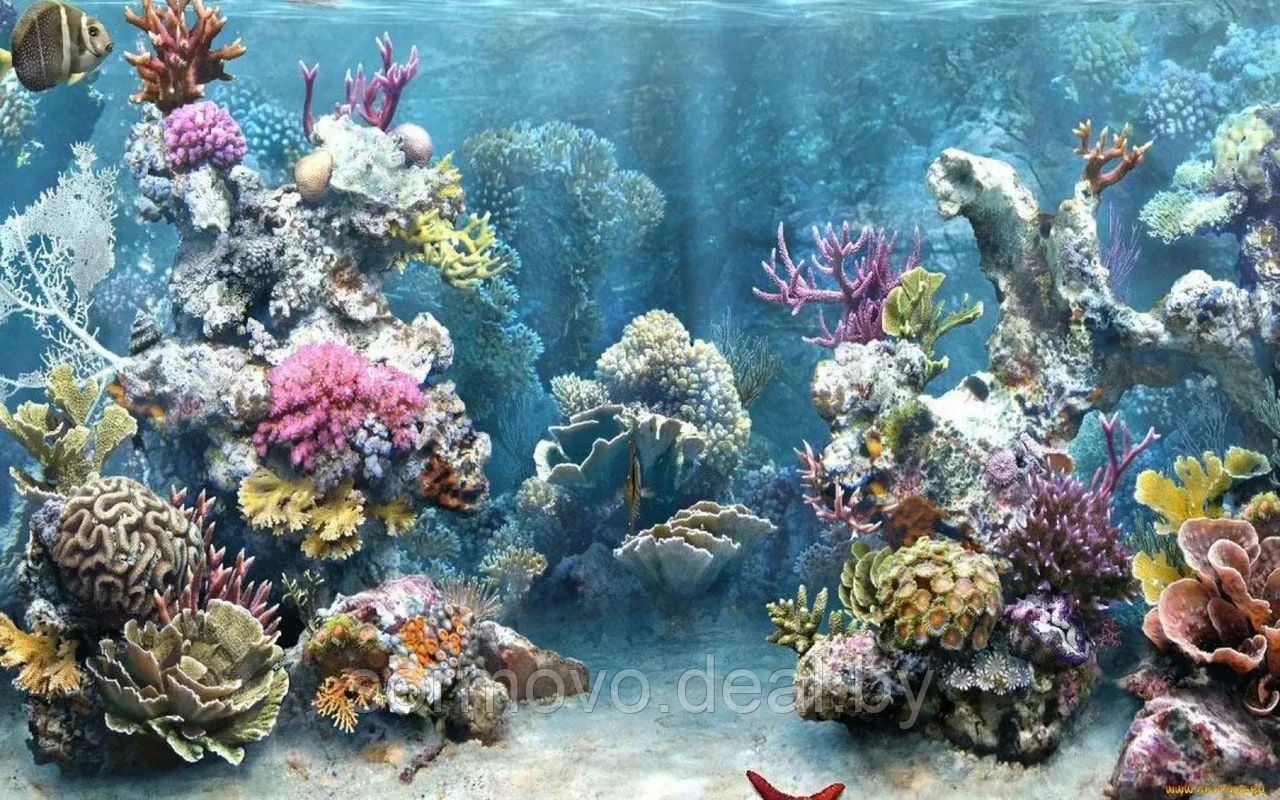 Для аквариума.Кораллы+Корабли+Замки+... - фото 1 - id-p194865351