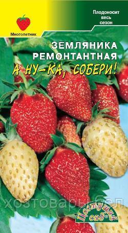 Земляника А ну-ка собери! ремонтантная 0.03г смесь (Цвет сад) - фото 1 - id-p194854059