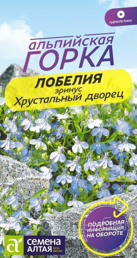 Лобелия Эринус Хрустальный дворец 0,02г Одн (Сем Алт) Альпийская горка - фото 1 - id-p194854073