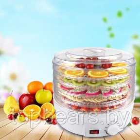 Сушилка для овощей и фруктов Digital Food Dehydrator SMX-01 - фото 1 - id-p195062701