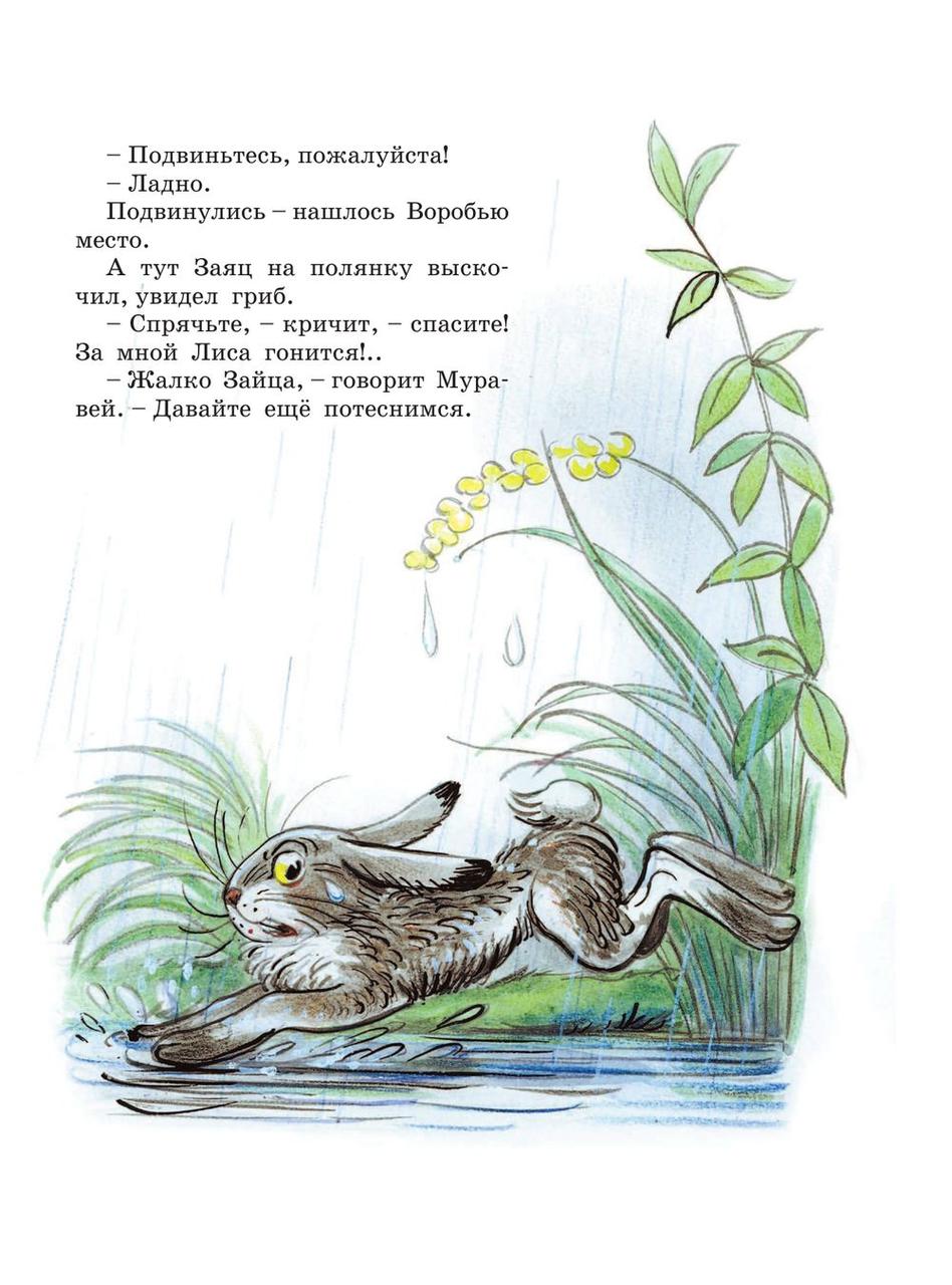 Книга сказок В.Сутеева - фото 5 - id-p195060950