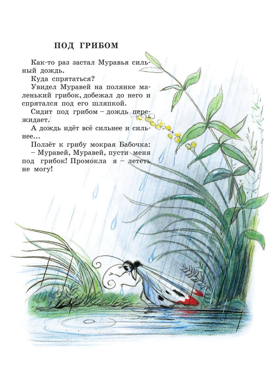 Книга сказок В.Сутеева - фото 10 - id-p195060950
