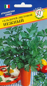 Сельдерей Захар листовой 0,5г Ср (Седек): продажа, цена в Гомеле. Семена иклубни трав и цветов от \