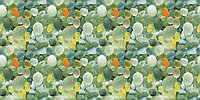 EXOTIC PEBBLE PRIMA 600X1200MM Prima Gloss