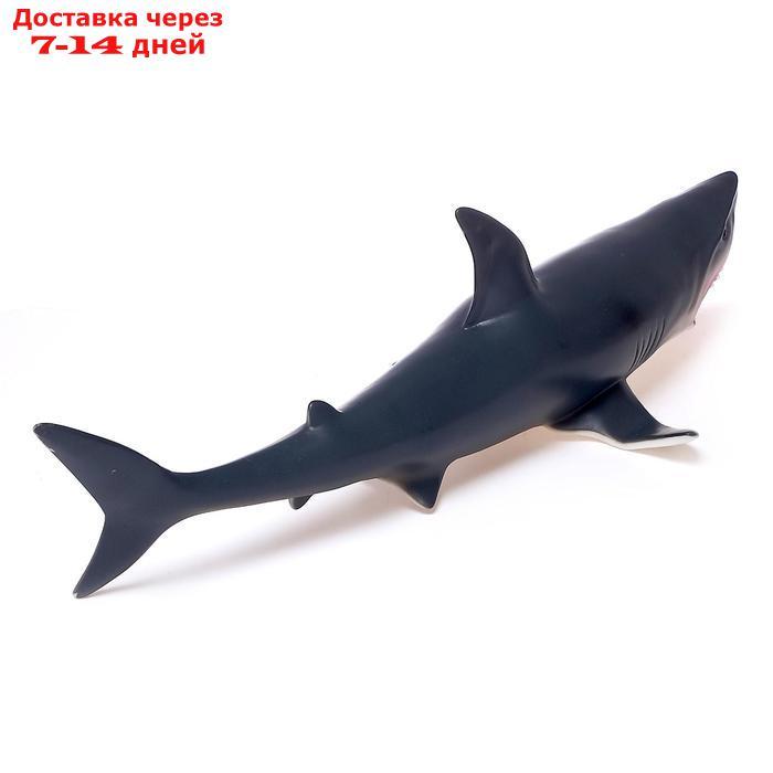 Фигурка животного "Серая акула", длина 41 см - фото 2 - id-p195034356