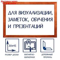 Доска магнитно-маркерная, 30 х 45 см, Calligrata, в деревянной рамке, морилка темная