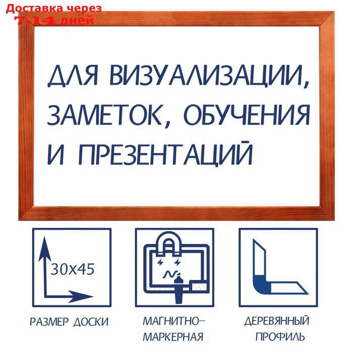 Доска магнитно-маркерная, 30 х 45 см, Calligrata, в деревянной рамке, морилка темная - фото 1 - id-p195034699