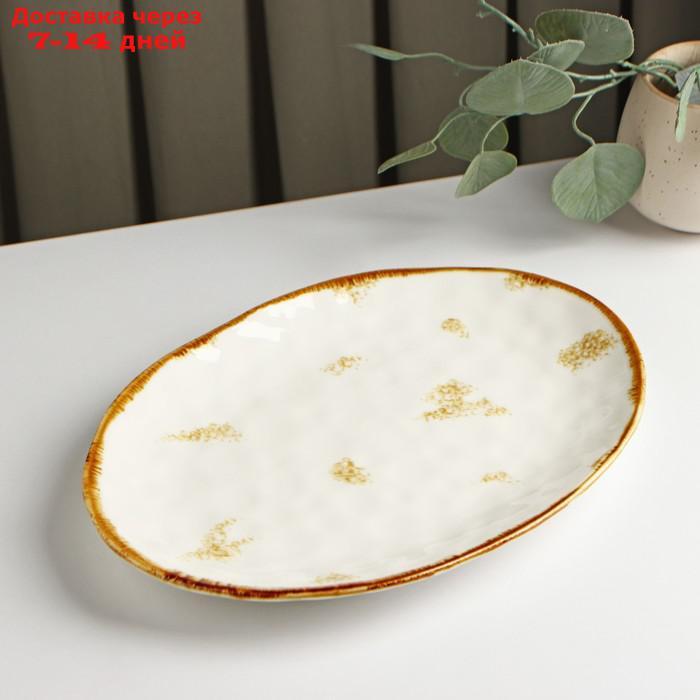 Блюдо Доляна "Золотой космос", 30×21 см, цвет белый