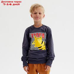 Джемпер (свитшот) для мальчика MINAKU: Casual collection цвет графит, рост 110