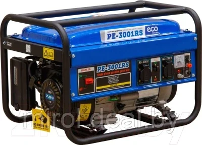 Бензиновый генератор Eco PE-3001RS - фото 1 - id-p195224579