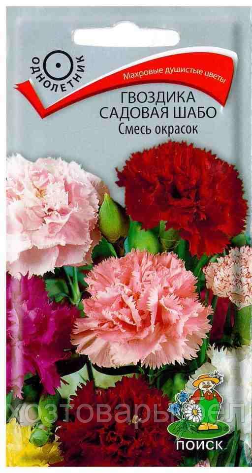 Гвоздика шабо Смесь окрасок садовая 0,1г Одн 60см (Аэлита)