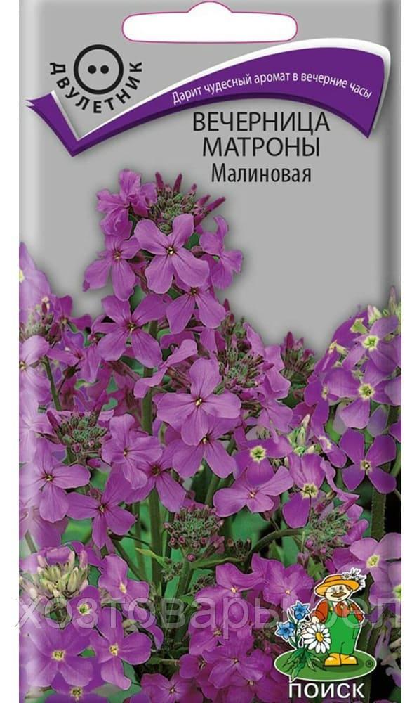 Хесперис Вечерница Матроны Малиновая 0,3г (Поиск)