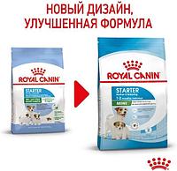 Сухой корм для щенков Royal Canin Mini Starter 3 кг