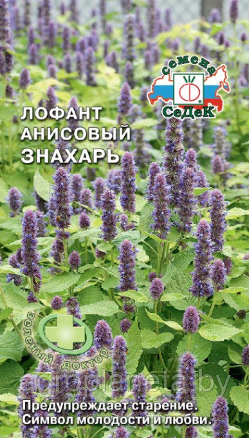 Лофант анисовый ЗНАХАРЬ, 0.1г - фото 1 - id-p195267402