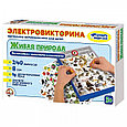 Электровикторина "Живая природа", фото 2