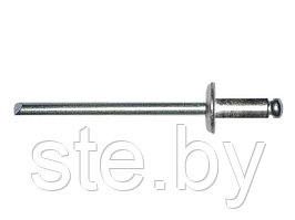 Заклепка вытяжная 4.8х10 мм сталь/сталь, цинк (25 шт в зип-локе) STARFIX