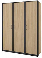 Шкаф для одежды МН-037-03 Мебель Неман Стенли