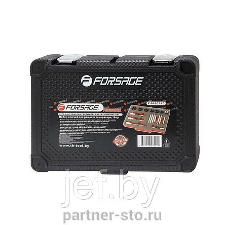 Набор для снятия шкивов генераторов 18 предметов FORSAGE F-918G3AD, фото 2