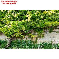 Фотосетка, 250 × 158 см, с фотопечатью, люверсы шаг 1 м, с люверсами, "Лиана"