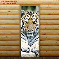 Дверь для бани и сауны "Тигр", 190 х 70 см, с фотопечатью 6 мм Добропаровъ