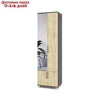 Шкаф двустворчатый с зеркалом Карина К22 600x420x2100 Камень темный/дуб ирландский