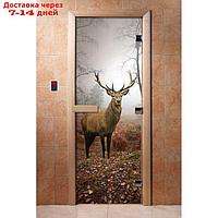 Дверь с фотопечатью, стекло 8 мм, размер коробки 190 × 70 см, левая, цвет А080