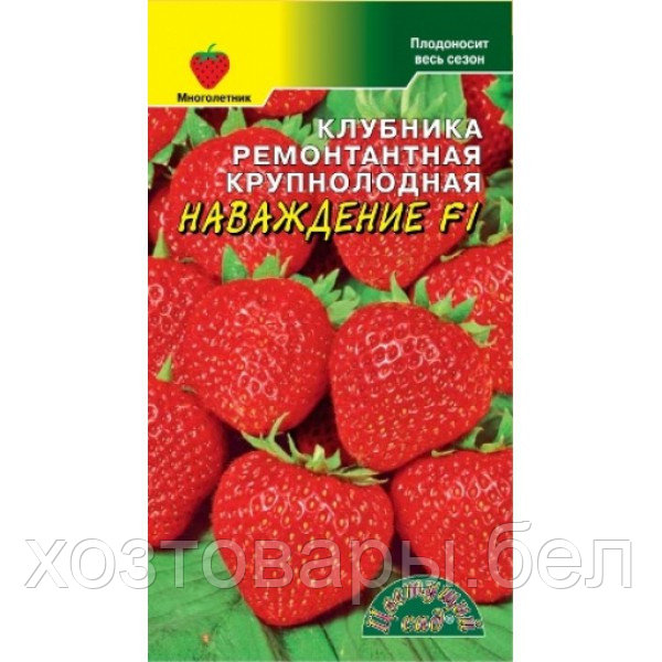 Земляника (клубника) Наваждение F1 5шт (Цвет сад)