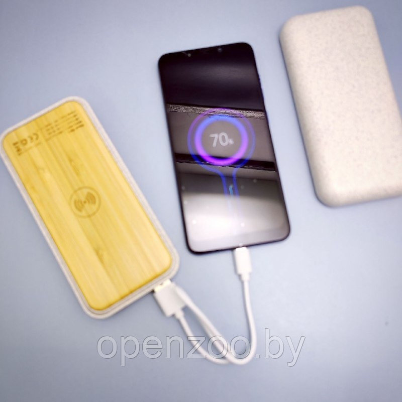 Внешний ЭКО аккумулятор(POWERBANK)Tambuko спроводной ибеспроводной зарядкой, 10000 mAh Kinetik - фото 5 - id-p195499017