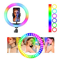 Кольцевая лампа 33 см RGB LED MJ30 + штатив 2,1 метра, фото 3