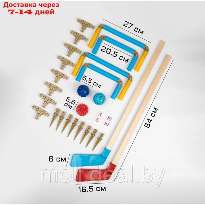 Хоккейный набор: 2 клюшки, 4 ворот, 2 мяча, шайба - фото 2 - id-p195464547