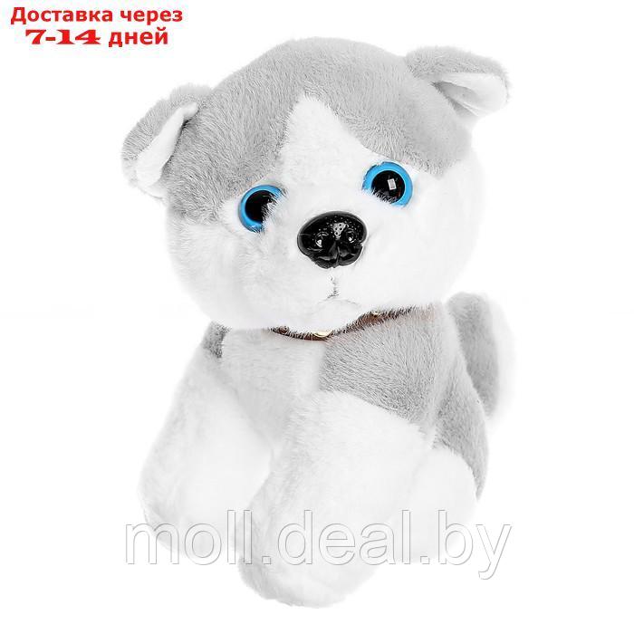 Мягкая игрушка "Собачка" 20 см, цвет МИКС - фото 3 - id-p195465103
