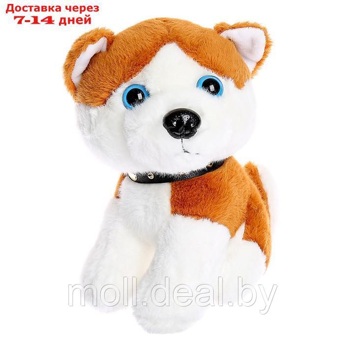 Мягкая игрушка "Собачка" 20 см, цвет МИКС - фото 4 - id-p195465103