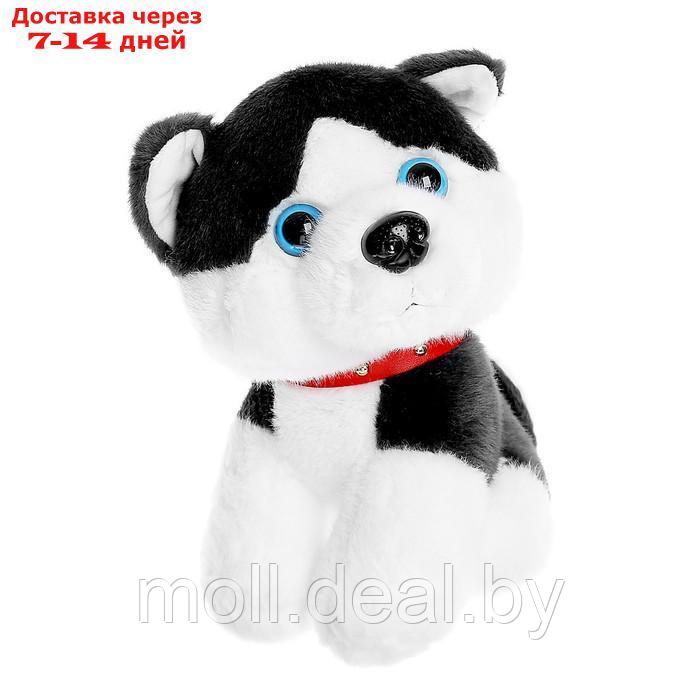 Мягкая игрушка "Собачка" 20 см, цвет МИКС - фото 5 - id-p195465103