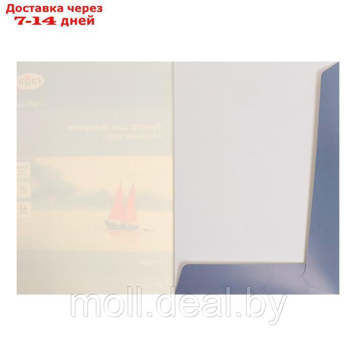Бумага для акварели в папке А3, 295 x 415 мм, 20 листов, Гамма "Студия", 200 г/м² - фото 3 - id-p195464348