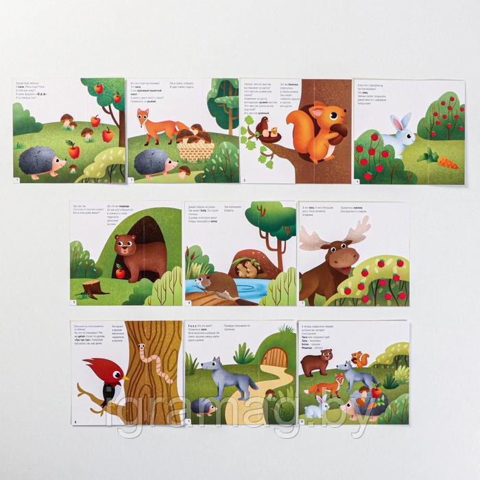 Игра обучающие карточки «Запуск речи. Что происходит в лесу?» с открывающимися окнами - фото 4 - id-p195590402