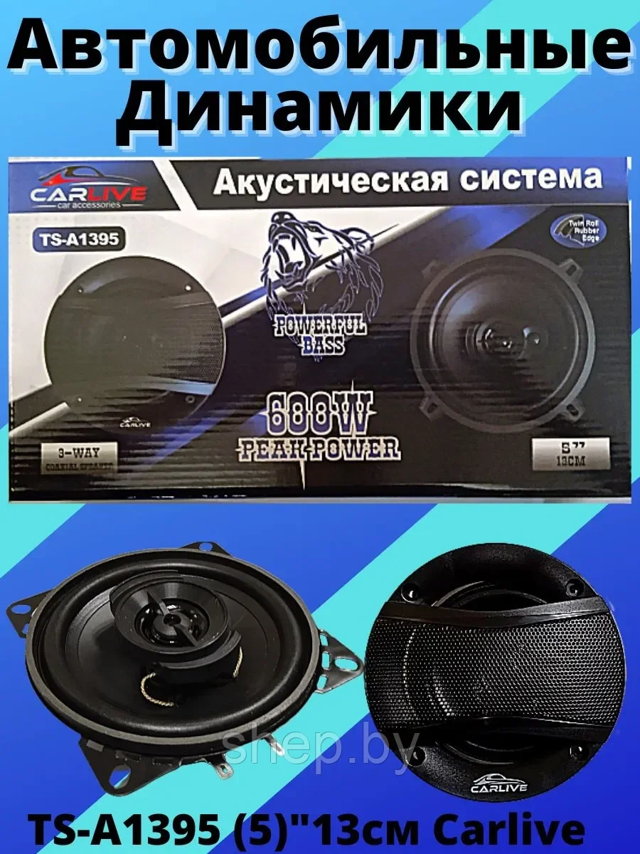 Акустическая система автомобильная Carlive TS-A1395 13см, мощность 600w, решетки в комплекте (2шт) - фото 9 - id-p195602877