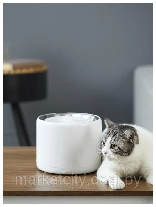 Автопоилка Xiaomi Petkit Питьевой фонтан для кошек и собак Eversweet 3 P4102 (1.35 л) - фото 1 - id-p195622074