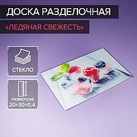 Доска разделочная «Ледяная свежесть», 30×20 см