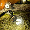 Светодиодная гирлянда "Шарики" (10 м,50 шаров, 48мм, прозрачная колба, резина, IP65) ULED-BL-50-220V-(B-W), фото 5
